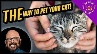 How to Pet a Cat - Cat Petting 101