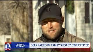 Deer Raised by Utah Family Survives After Being Shot by DWR Officer