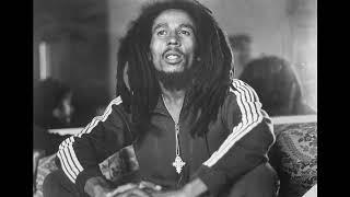 bob marley and the wailers Caution instrumental