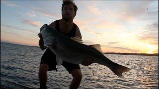 Catching BIG Striped Bass From The Shore With Bait. How To Chunk for Stripers