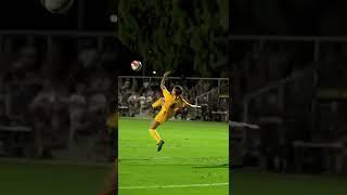 WILD BICYCLE KICK 