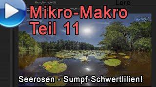 Micro Macro Teil11: Seerosen und Sumpf-Schwertlilien!