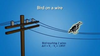 Grounding and bonding: Introduction | #Eaton #powersystem