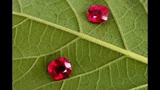 （宝石搬运工）缅甸myanmar，抹谷mogok，红宝石ruby，蓝宝石sapphire，尖晶石spinel，宝石珠宝源头直播，LIVE5/16