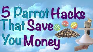 5 Bird Hacks That Save You Money And Time