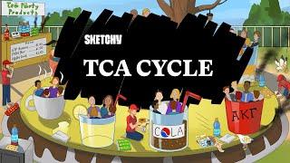 Learn the TCA Cycle! (Full Lesson) | Sketchy MCAT | Biochemistry