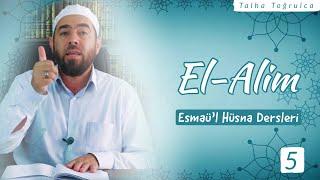 EL-ALİM | El-Alim ne anlama gelir? Önemi nedir ve hayatımızdaki yansımaları nelerdir?