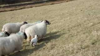 Ever get that feeling your being followed?