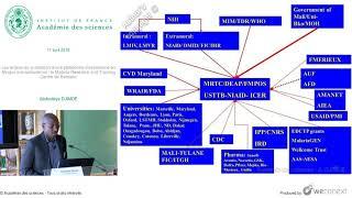 Le Malaria Research and Training Centre de Bamako par Abdoulaye Djimde