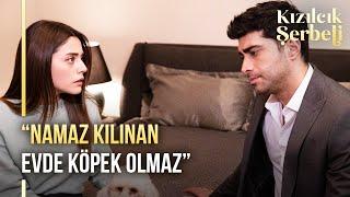 Doğa'nın eve getirdiği sokak köpeği evi karıştırdı! | Kızılcık Şerbeti 5. Bölüm