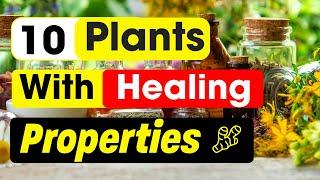 Nature's Healing Secrets Unveiled: 10 Powerful Plants for a Healthier You!