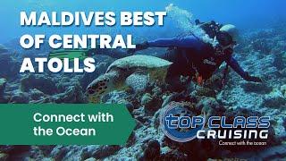 Liveabord diving in the Maldives - best of central atolls (March 2023)