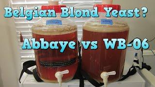 Dry Yeast for a Belgian Blond?  Abbaye vs WB-06 Yeast Comparison!