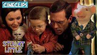 Stuart Returns Home (End Scene) | Stuart Little | CineStream