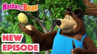 Masha and the Bear 2024  NEW EPISODE!  Best cartoon collection  Soup Pursuit 