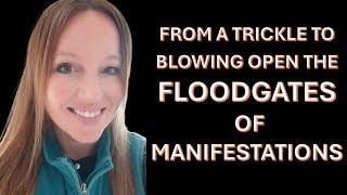 Soni, Matt & Source (9) How do I go from a trickle to opening the floodgates of manifestations?