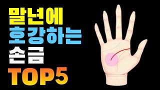 말년에 호강하는 손금 TOP5 ! #손금 #재물운 #부자손금