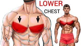 8 World's Best Lower Chest Workout Exercises Gym