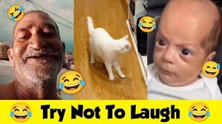 Try Not To Laugh | Ep 3 | Sigma Memes | Wah Kya Scene Hai | Trending Memes Compilation