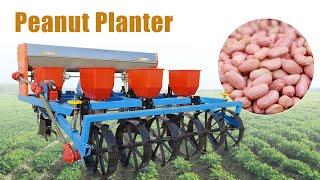 Multi Rows Peanut Planter-Groundnut Planting Machine from Taizy 2023 #planter #peanut #agricultural