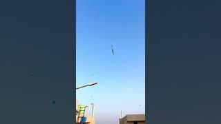 Wait for the endkite flying🪁in Amritsar️ #amritsar #kiteflying #kite #subscribe #viral #shorts