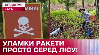 Шукав гриби, а знайшов РАКЕТУ! Що робити з небезпечними знахідками в лісі?