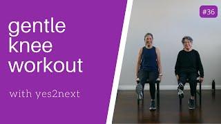 GENTLE KNEE WORKOUT | Seniors, Beginner Exercisers