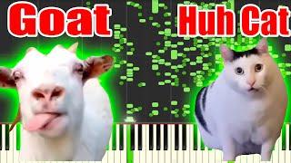 Goat and Huh Cat but it's MIDI (Auditory Illusion) | Goat Talking to Clueless Huh Cat Piano sound