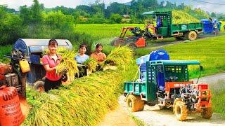Nhất My Bushcraft Come To Help Harvest Rice, A Hard Working Day | Phương Farm Life