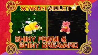 [LIVE!] SHINY GREAVARD and SHINY PAWMI in Area Zero!!! (Pokemon Scarlet Violet)