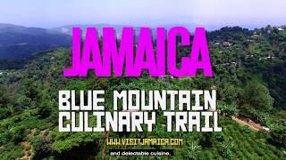 Jamaica Blue Mountain Culinary Trail