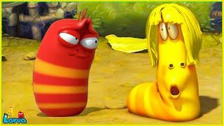 Larva New Cartoons Comedy : Wig | Best Cartoons 2024 | Comics | Hilarious Cartoon Compilation