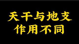 【准提子八字命理】天干与地支作用大不相同！！！