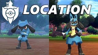 Pokemon Sword and Shield: How to Catch & Find Riolu and Lucario