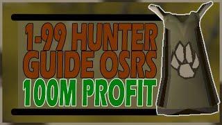 ULTIMATE 1-99 HUNTER GUIDE | 100M PROFIT