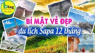 Du lịch Sapa tự túc 2024 - Kinh nghiệm du lịch Sapa trong 12 tháng có gì khác biệt