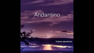 Tigran Abgaryan — Andantino