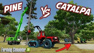 The BEST Tree To Use For Productions In Farming Simulator 25