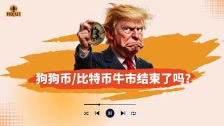 美联储利率决议下，加密货币大跌！狗狗币跌幅拦腰斩半，比特币能否站稳10万美元以上！山寨币大跌机会在哪里？