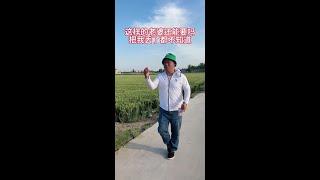 #快速成长计划 #影画演绎未来之星 #搞笑夫妻666