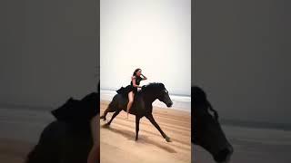 Wild ride_racehorse #clap #type #shorts #horse #animals #wild #viral