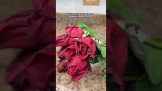 This is how to make rose hydrosol from scratch  #naturalhair #4chair #skincare