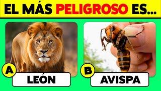  50 PREGUNTAS de ANIMALES  ¿Cuánto Sabes de Animales?