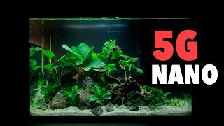 Aquascaping A Low Tech Planted Aquarium (Top Fin 5 Gallon Kit)