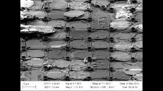 Flir Lepton electron microscope images