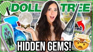 Dollar Tree *Hidden Gems* You NEED this September 2024