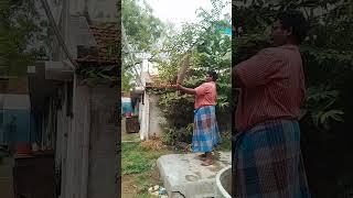 old wooden dumbbell 50 years old real wood teak wood AI pose estimation excercise and self defence 2