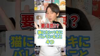 要注意！？猫にカンペキにバレてること4つ #猫 #猫のいる暮らし #ねこ