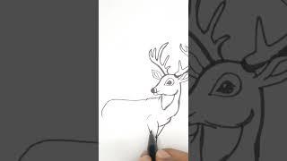 HOW TO DRAW DEER - DRAWING TUTORIAL