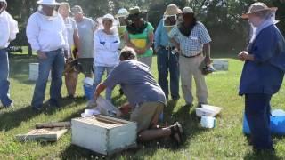 Alcohol Wash for Varroa by Randy Oliver -NY Bee Wellness